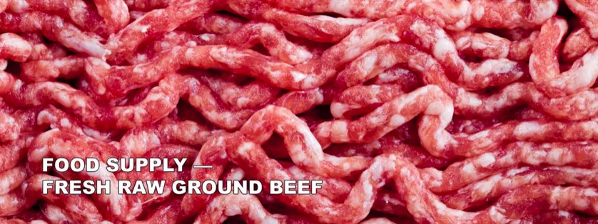 Fresh Raw Ground Beef