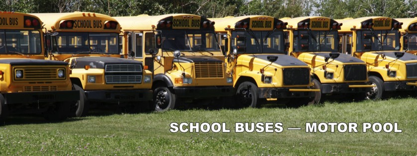 School Buses Side by Side in Field of Green Grass